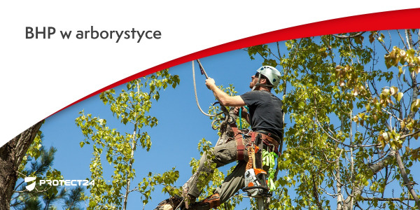 Arborystyka- bezpieczeństwo podczas pielęgnacji zieleni